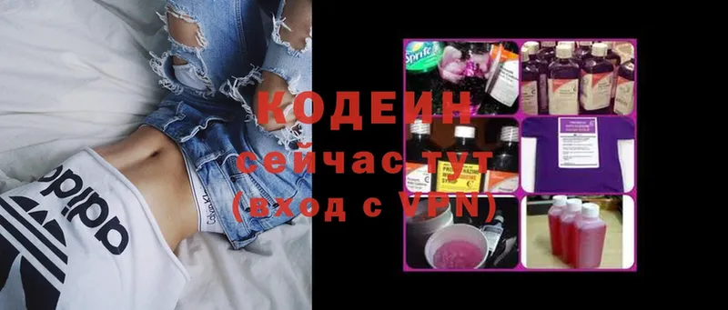 продажа наркотиков  Ишим  Codein Purple Drank 